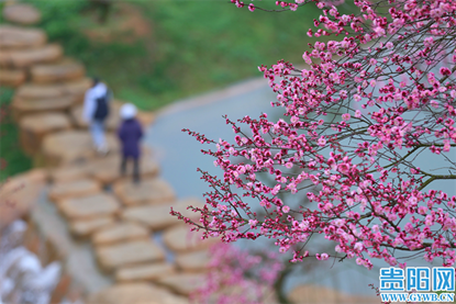 1740643046709737.png 图片9.png