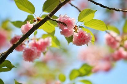 1740643069290971.jpg 图片10.jpg