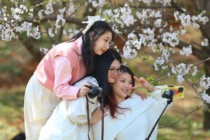 1740643089116531.jpg 图片11.jpg