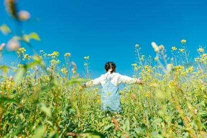 1740643143748405.jpg 图片13.jpg