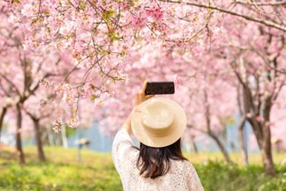 1740643163365846.jpg 图片14.jpg