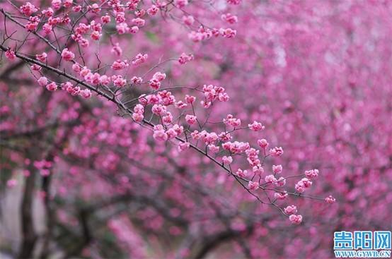 1740643215342094.jpg 图片16.jpg